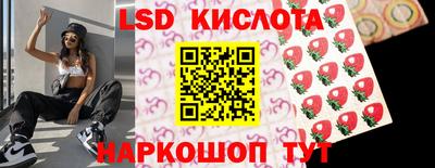 крисы Вязники