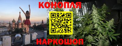 крисы Вязники