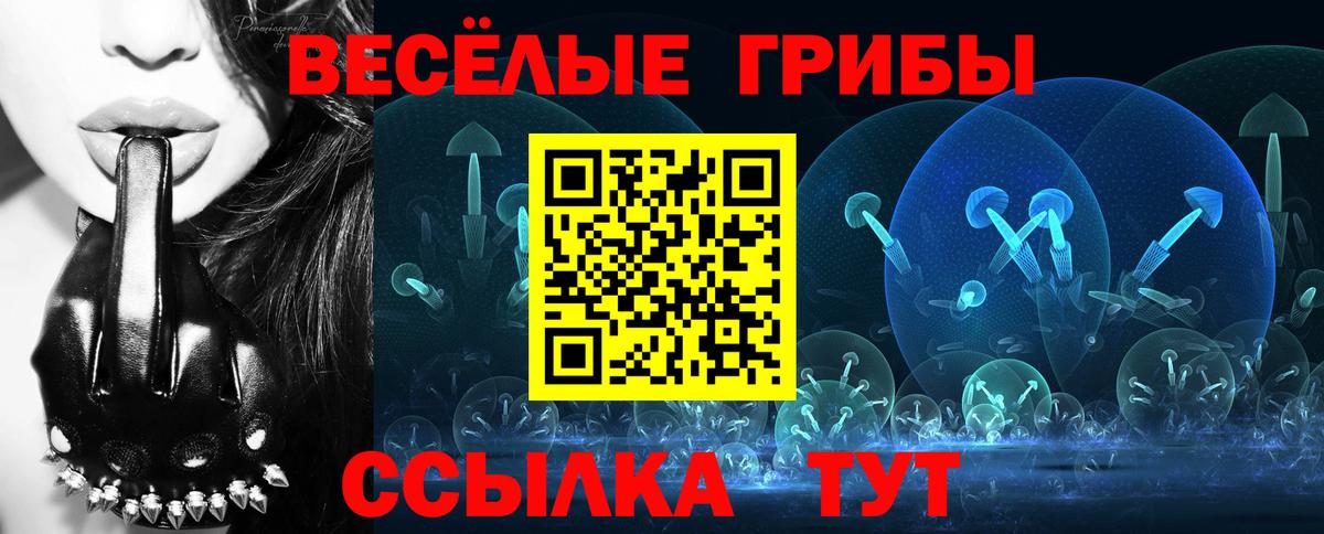Псилоцибиновые грибы прущие грибы Лысьва