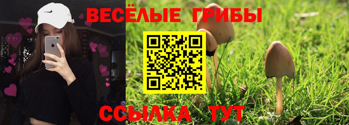 Псилоцибиновые грибы ЛСД  Вход с VPN  Лысьва 
